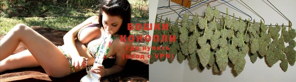 бошки Дмитров