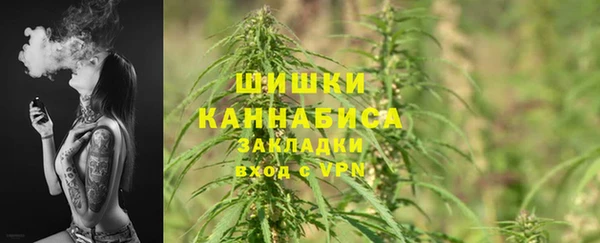 первитин Ельня