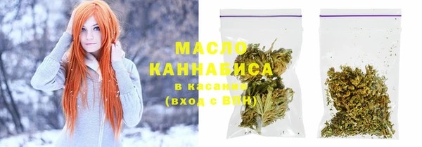 сатива Дмитриев