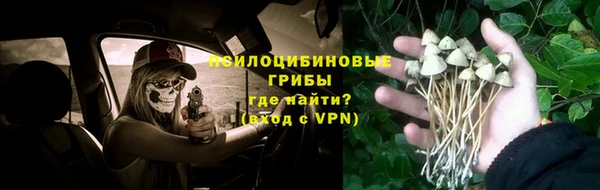 мяу мяу мука Дмитровск