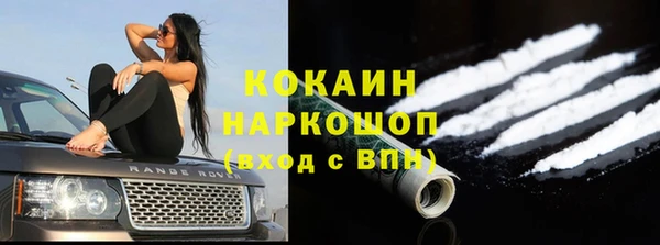 бошки Дмитров