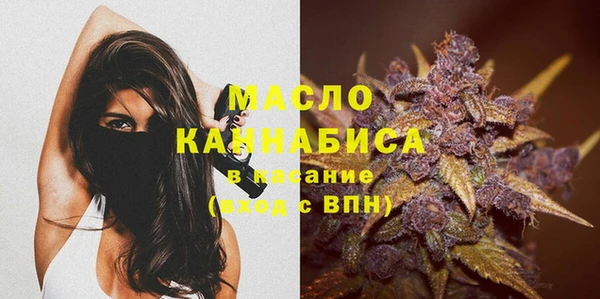 сатива Дмитриев
