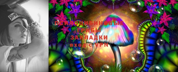 мяу мяу мука Дмитровск