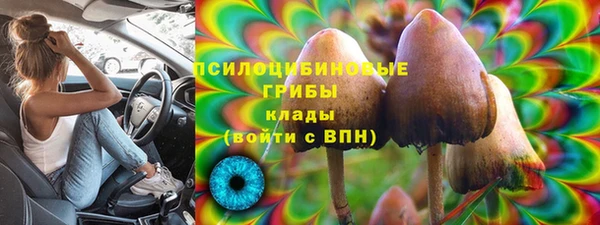 бошки Дмитров