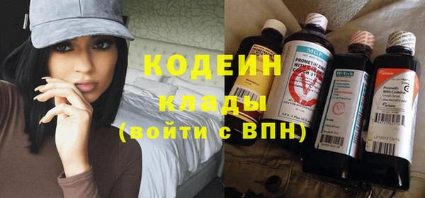 сатива Дмитриев