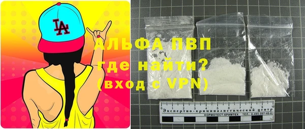 сатива Дмитриев