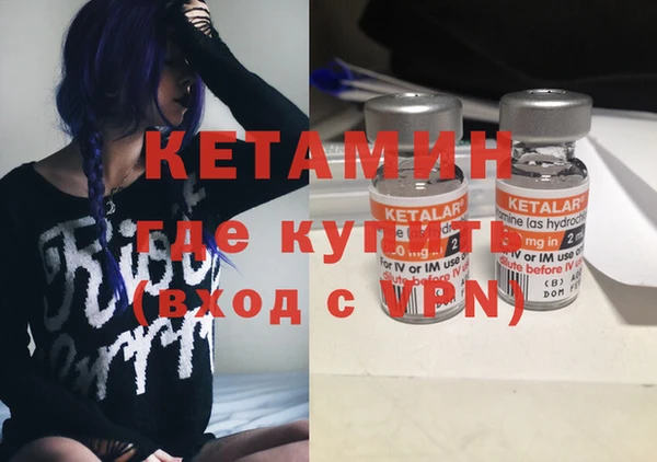 сатива Дмитриев