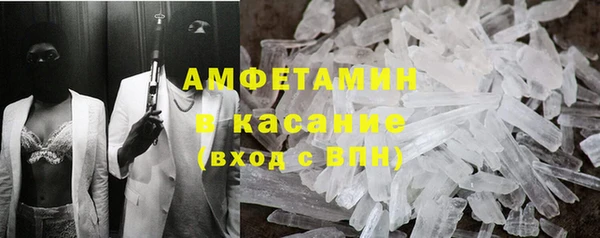 сатива Дмитриев