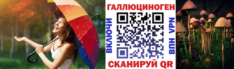 Купить  Мценск  Псилоцибиновые грибы прущие грибы 